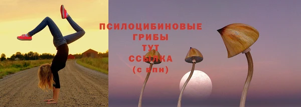 тгк Алексеевка