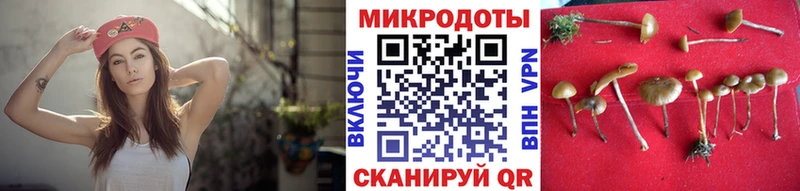 Галлюциногенные грибы Psilocybine cubensis  Александровское 
